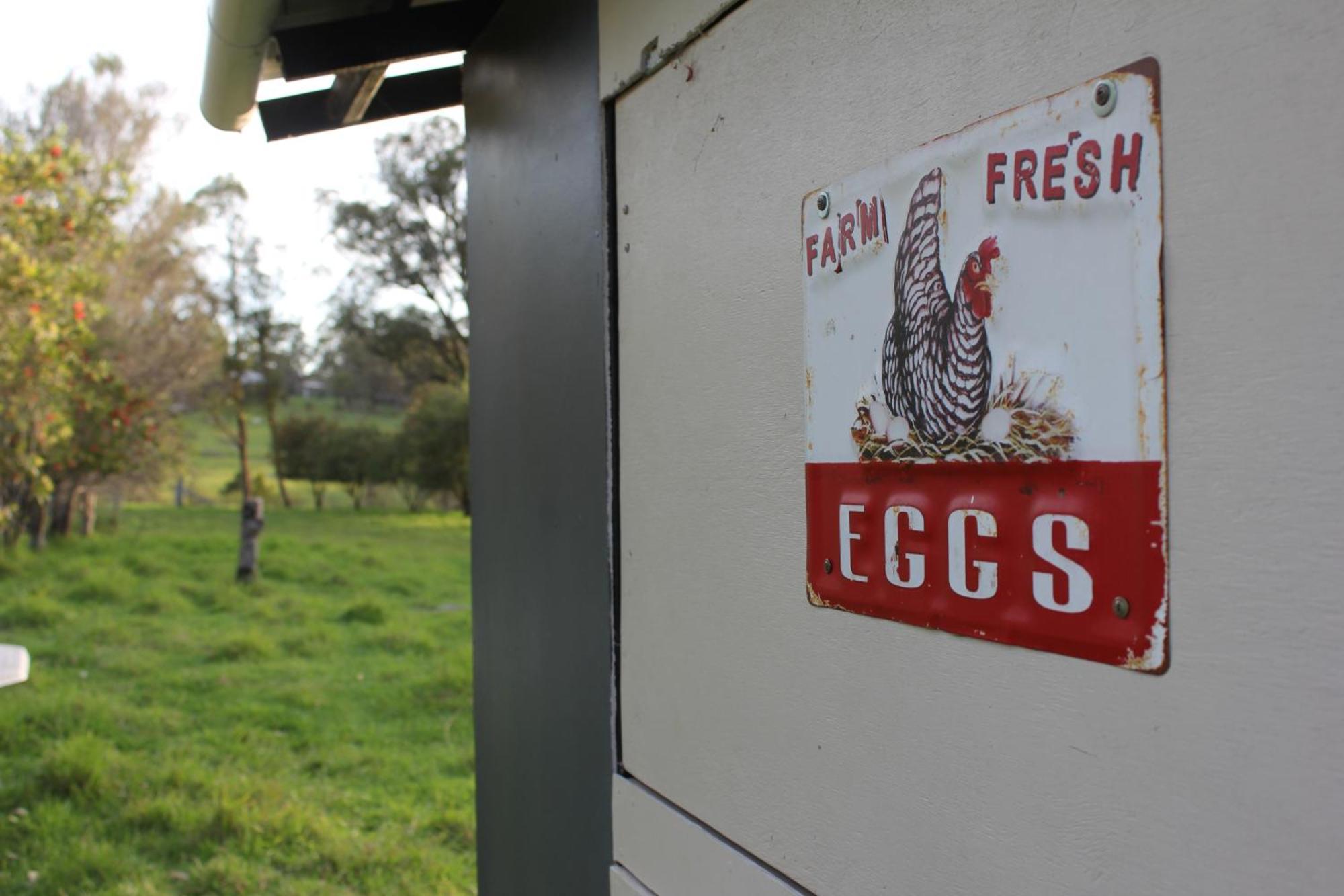 Bryn Glas Farm Stay Moruya Bagian luar foto