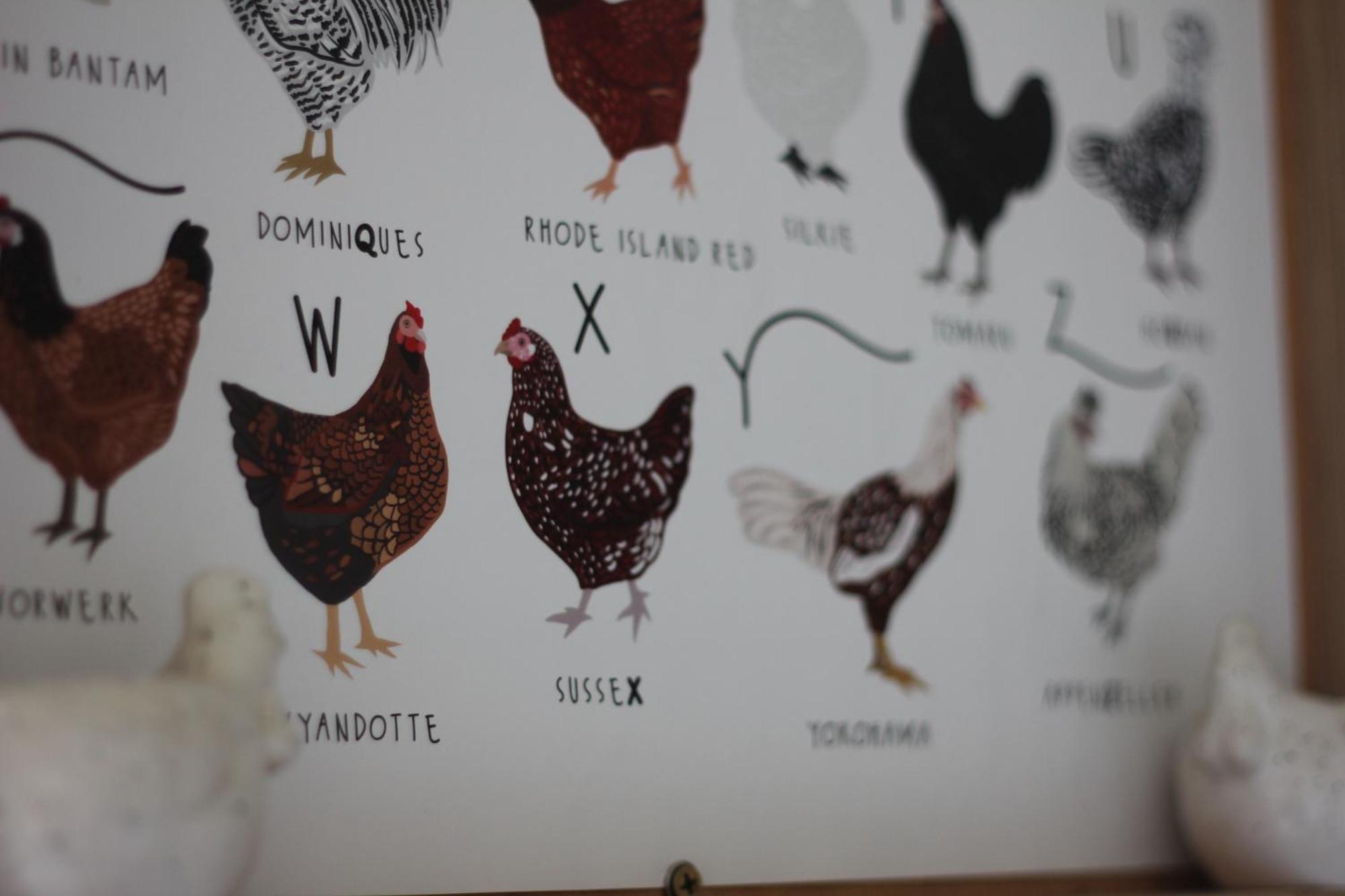 Bryn Glas Farm Stay Moruya Bagian luar foto