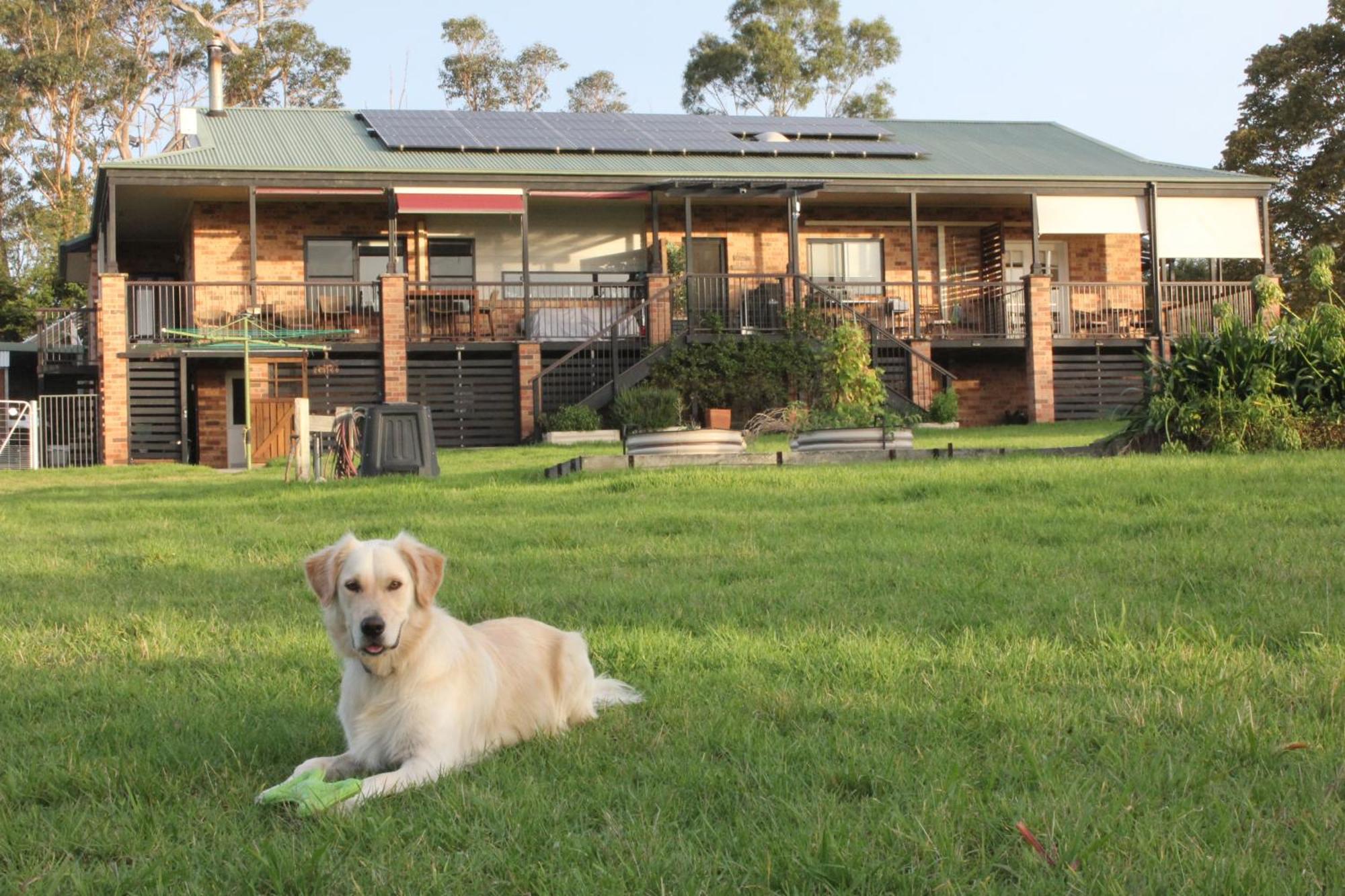 Bryn Glas Farm Stay Moruya Bagian luar foto