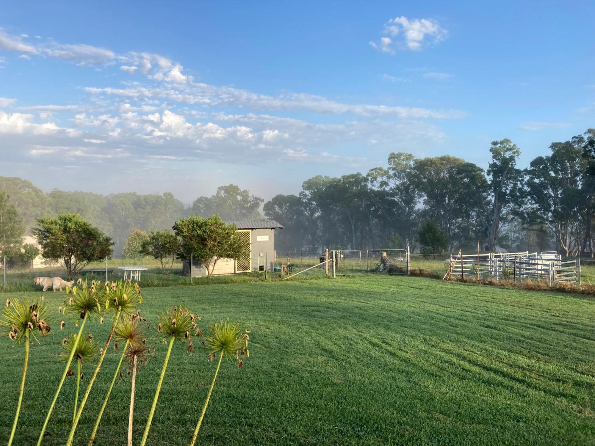 Bryn Glas Farm Stay Moruya Bagian luar foto