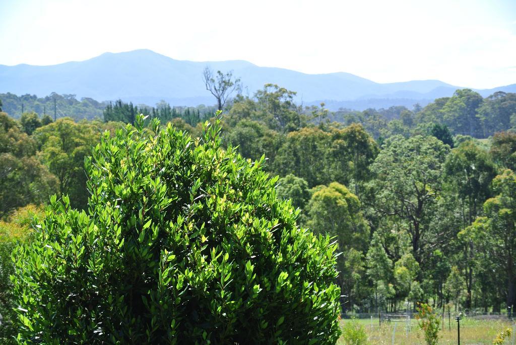 Bryn Glas Farm Stay Moruya Bagian luar foto