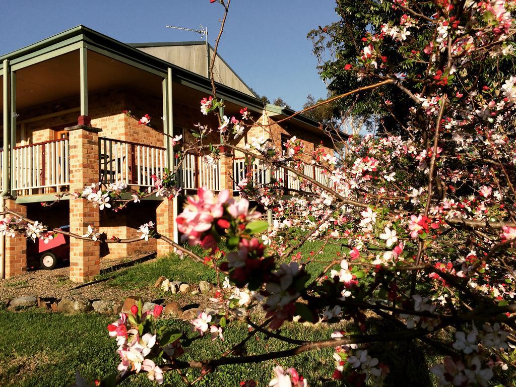 Bryn Glas Farm Stay Moruya Bagian luar foto