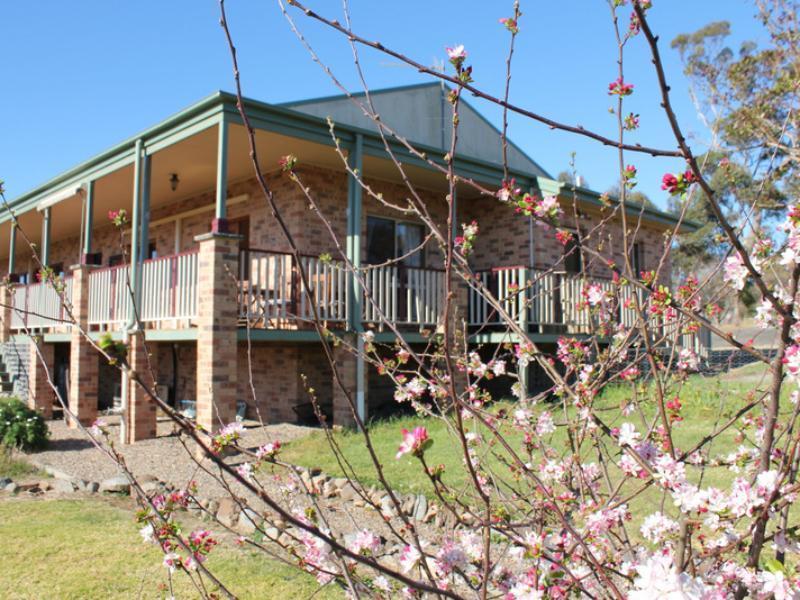 Bryn Glas Farm Stay Moruya Bagian luar foto
