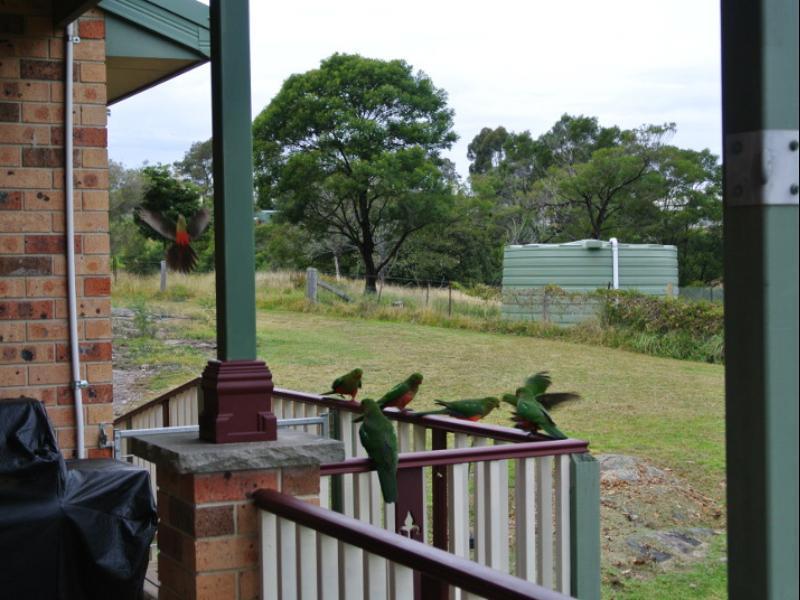 Bryn Glas Farm Stay Moruya Bagian luar foto