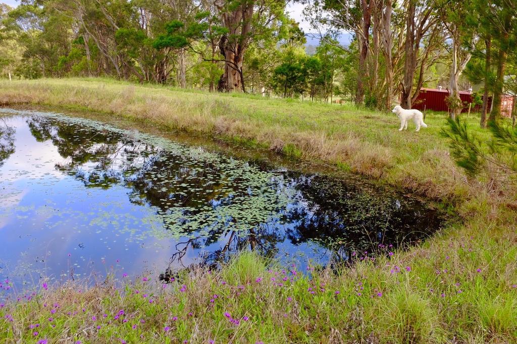 Bryn Glas Farm Stay Moruya Bagian luar foto