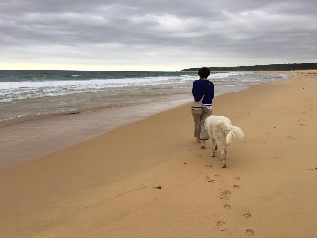 Bryn Glas Farm Stay Moruya Bagian luar foto