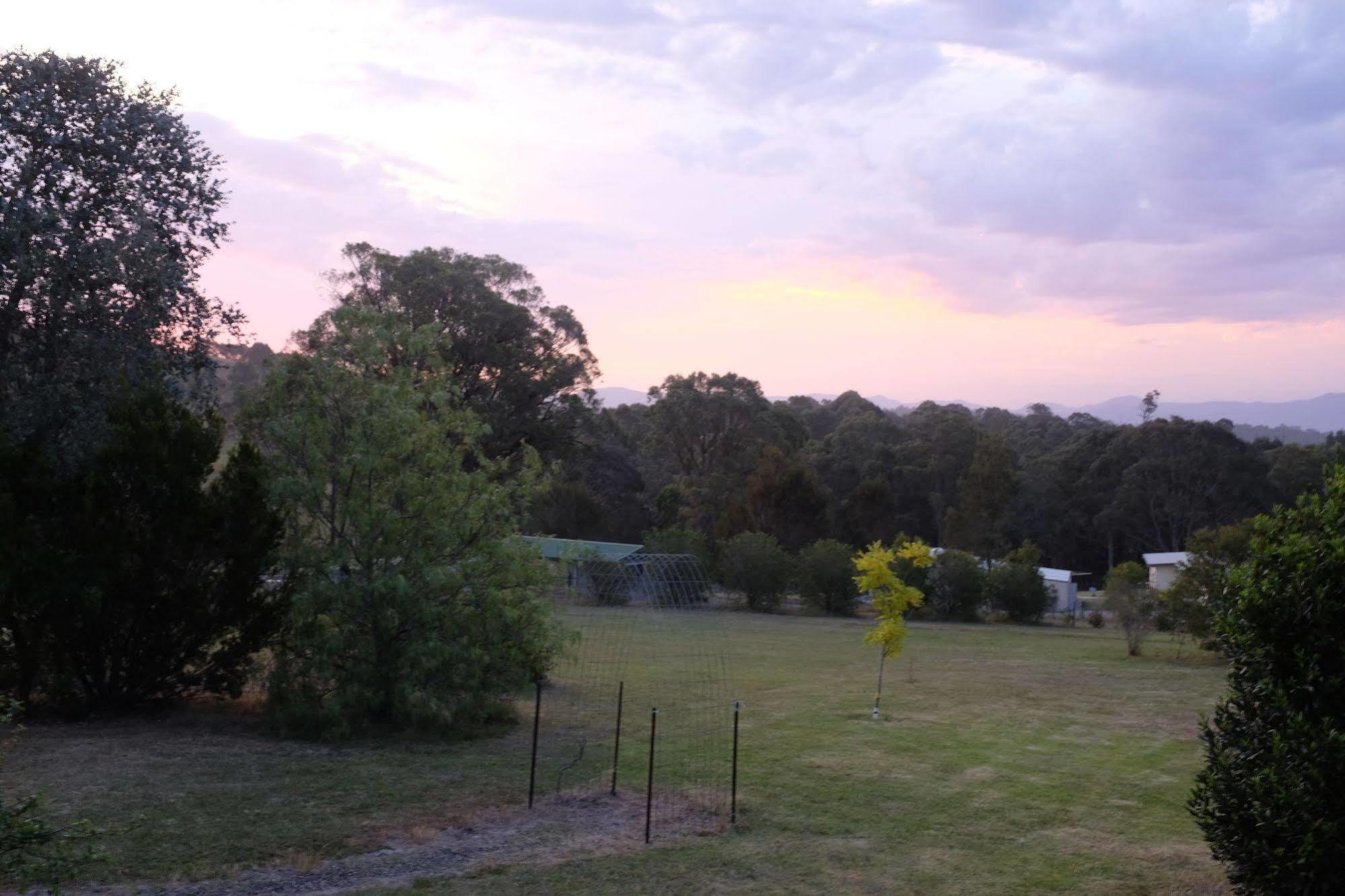 Bryn Glas Farm Stay Moruya Bagian luar foto