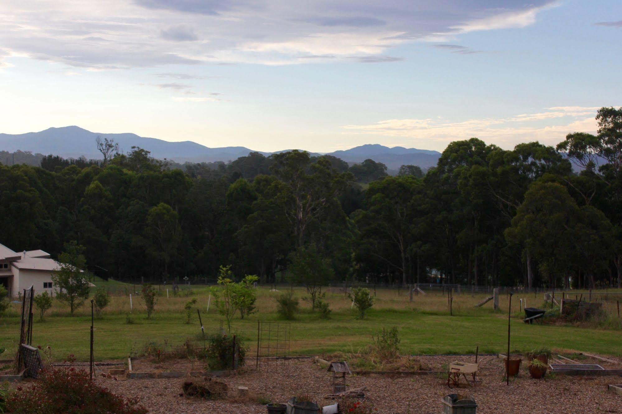 Bryn Glas Farm Stay Moruya Bagian luar foto