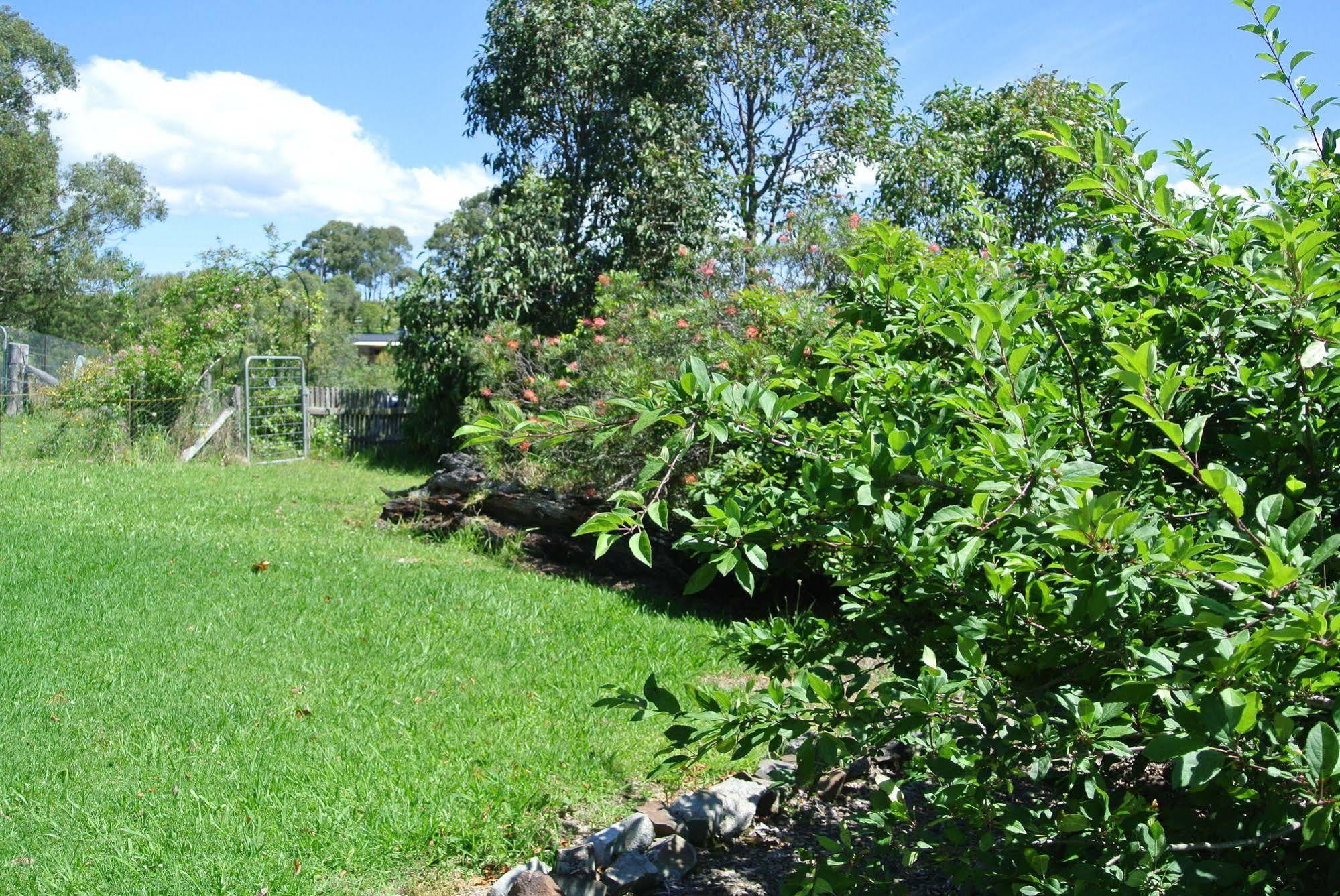 Bryn Glas Farm Stay Moruya Bagian luar foto