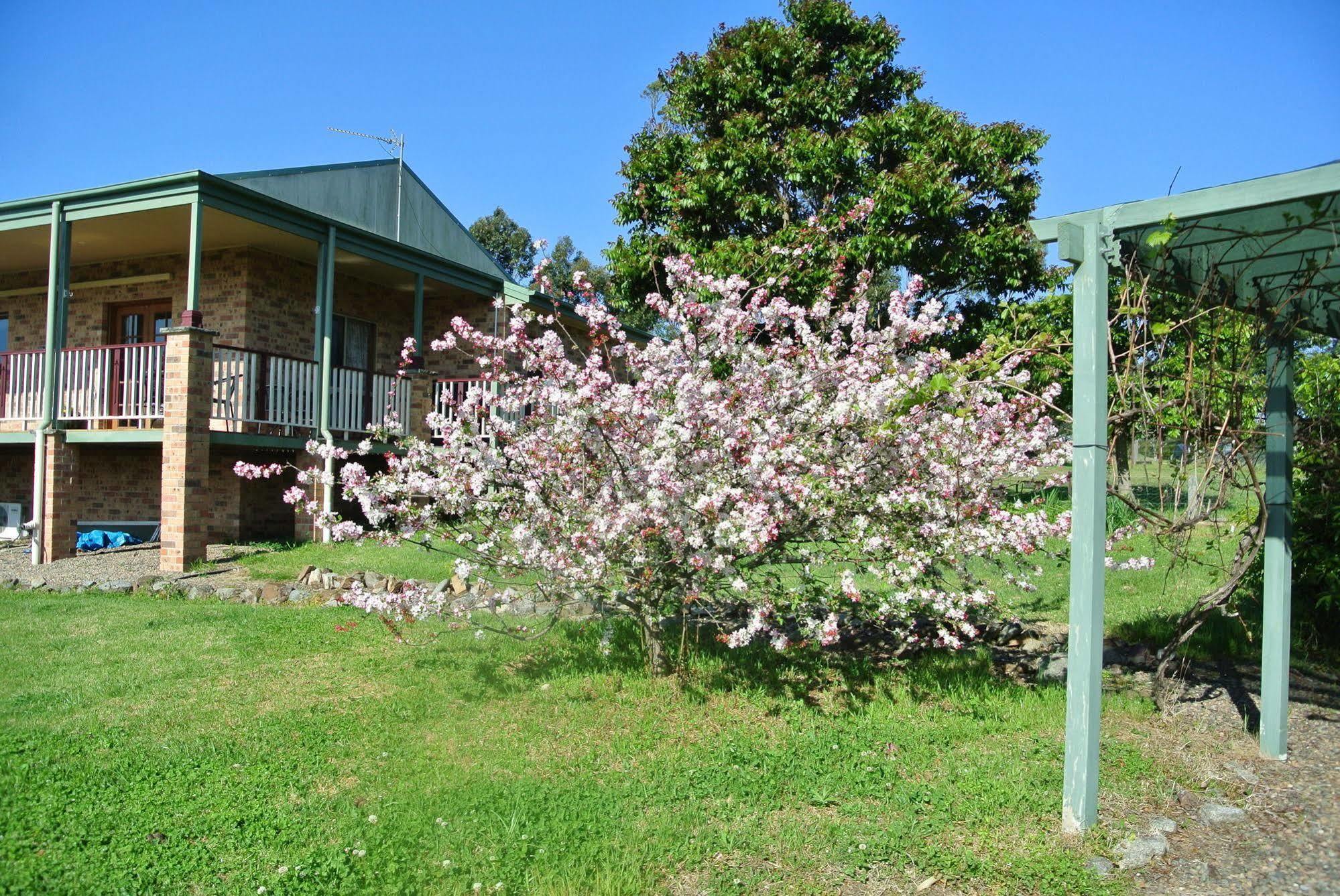 Bryn Glas Farm Stay Moruya Bagian luar foto