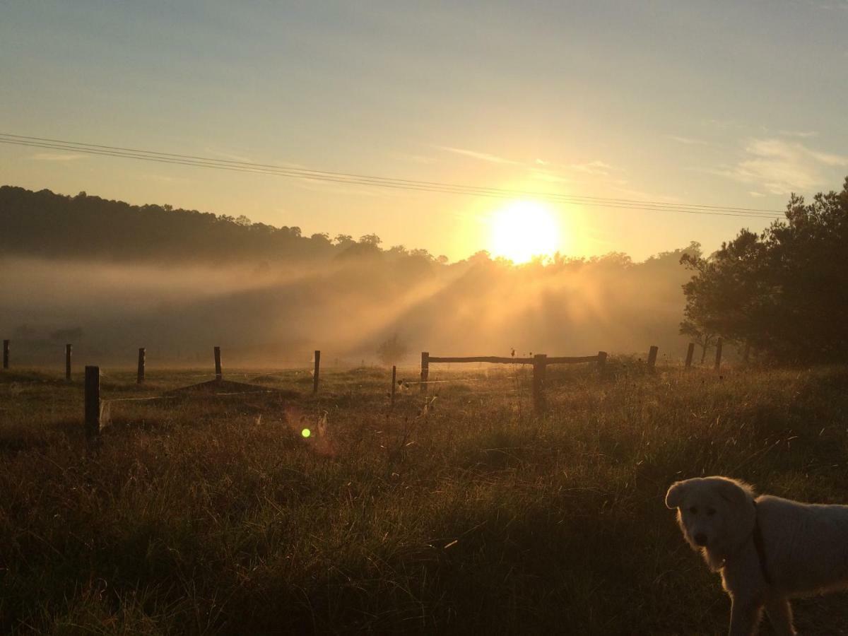 Bryn Glas Farm Stay Moruya Bagian luar foto