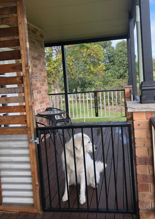 Bryn Glas Farm Stay Moruya Bagian luar foto